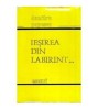 Dumitru Popescu - Iesirea din labirint...Eseuri - 108476