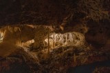 Tablou Canvas, "Labirintul de piatră al timpului", Stalactite, Stalagmite, Lumină, Peșteră, Texturi, Forme, Natura, Piatră, 39 x 26 cm, CMCLASS