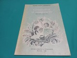 GRAMATICĂ ȘI COMPUNERE * MANUAL PENTRU CLASA A III-A / ION ȘERDEAN * 1989 * 3 2 5