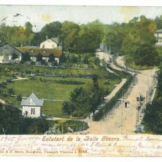 1938 - GOVORA, Valcea, Park, Romania - old postcard - used - 1905