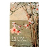 Cumpara ieftin The Sound and the Fury