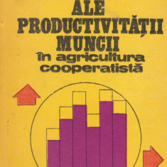 Probleme ale productivitatii muncii in agricultura cooperatista