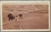 Voyage d&#039;un harem a travers le desert// CP, Necirculata, Printata