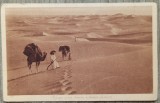Voyage d&#039;un harem a travers le desert// CP
