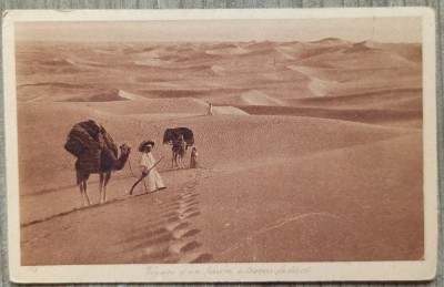 Voyage d&amp;#039;un harem a travers le desert// CP foto
