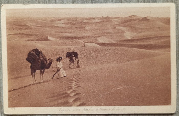 Voyage d&#039;un harem a travers le desert// CP