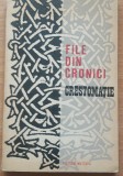 FILE DIN CRONICI. CRESTOMATIE PRIVIND ISTORIA MILITARA ROMANEASCA