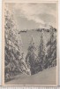 Bnk cp Muntii Bucegi - Postavarul - Vedere- circulata 1956 - Libraria noastra, Printata, Brasov