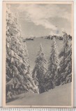 bnk cp Muntii Bucegi - Postavarul - Vedere- circulata 1956 - Libraria noastra