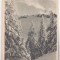 bnk cp Muntii Bucegi - Postavarul - Vedere- circulata 1956 - Libraria noastra