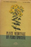 PLANTE MEDICINALE DIN FLORA SPONTANA - CORNELIU CONSTANTINESCU mh