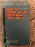 Obezitatea, diabetul zaharat, colesterolul si ateroscleroza - Iulian Mincu, Nicolae Hȃncu