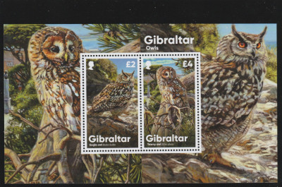 Gibraltar 2020-Fauna,Pasari,Bufnite,bloc 2 val.,Mi.,Bl.143 foto