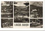 CPI B 10883 CARTE POSTALA - LACU ROSU, MOZAIC, Circulata, Fotografie