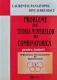 Cumpara ieftin Probleme de teoria numerelor si combinatorica pentru juniori - 2003 - L. Panaitopol (V228)