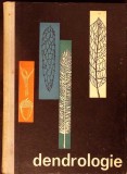 DENDROLOGIE. MANUAL PENTRU ELEVII SCOLILOR TEHNICE DE MAISTRI, ANUL I (1962)-I. DUMITRIU-TATARANU-336617