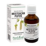 Extract de mesteacan pufos, 50 ml, Plant Extrakt