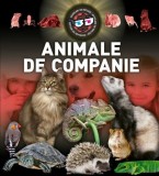 Animale de companie 3D - Kreativ