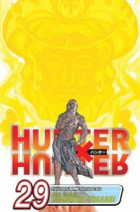 Hunter X Hunter, Vol. 29 foto