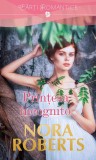 Cumpara ieftin Prințesa incognito, Nora Roberts