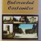 BULEVARDUL CASTANILOR de CORNELIU POPESCU , 2005