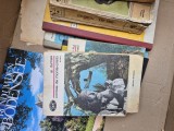 Contele de Monte-Cristo 4 vintage