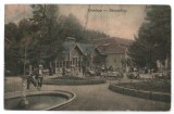 1910 - Oravita, parcul (jud.Caraș-Severin)