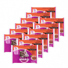 Whiskas Selec?ie clasica in suc propriu 12 x (4 x 100 g) foto