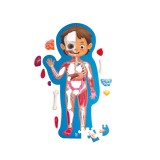 Cumpara ieftin Puzzle pentru copii Hape - Corpul Uman 61 piese