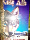 Jack London - Colt alb