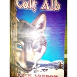 Jack London - Colt alb