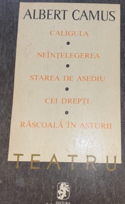 TEATRU CAMUS foto