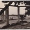 AS - ILUSTRATA 1176, CONSTANTA - FALEZA, ANUL 1962