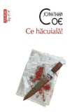 Ce hacuiala! - Jonathan Coe