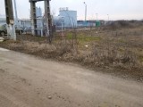 Tere 5550 m2 la 7 km de Targoviste in Dragomiresti