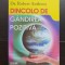 NLP Dincolo de g&acirc;ndirea pozitivă - Robert Anthony