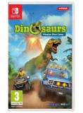 Dinosaurs Mission Dino Camp NSW