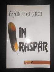 Gheorghe Grigurcu - In raspar (2001) foto