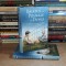 JOHN BOYNE - BAIATUL CU PIJAMALE IN DUNGI , 2013 ( CARTONATA ) *