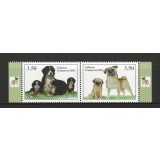 TAJIKISTAN 2018 FAUNA ANIMALE DOMESTICE CAINI