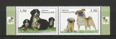 TAJIKISTAN 2018 FAUNA ANIMALE DOMESTICE CAINI foto