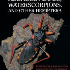 Assassin Bugs, Waterscorpions, and Other Hemiptera: Reproductive Biology and Laboratory Culture Methods