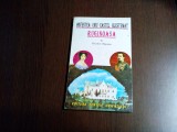 POVESTE UNUI CASTEL BLESTEMAT- RUGINOASA - Theodor Rascanu -1995, 142 p., Alta editura