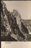 CPIB 22712 - CARTE POSTALA - MUNTII BUCEGI. BRANA CAPRELOR, RPR, Circulata, Fotografie