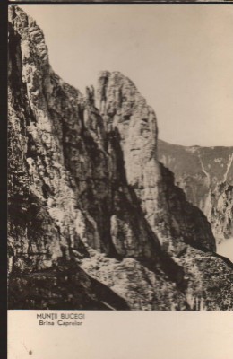 CPIB 22712 - CARTE POSTALA - MUNTII BUCEGI. BRANA CAPRELOR, RPR foto