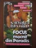 Sandra Brown - Focul mocnit din paradis