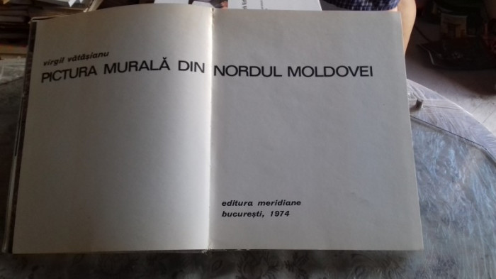 PICTURA MURALA DIN NORDUL MOLDOVEI - VIRGIL VATASIANU