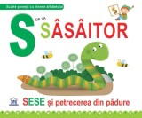 S de la Sasaitor - Necartonata - DPH