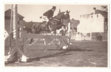 4434 - SIBIU, Horsemanship, Echitatie - old postcard, real PHOTO - unused, Necirculata, Fotografie