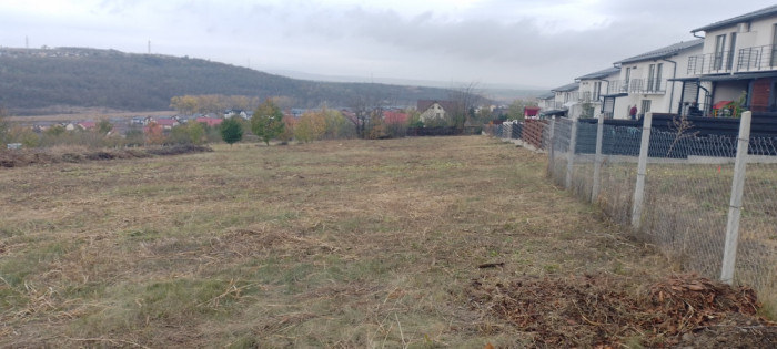 Teren de v&acirc;nzare in Valea Ad&acirc;ncă - com. Miroslava